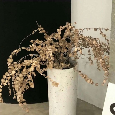 原创Furry角色设计思路FurryQQ群